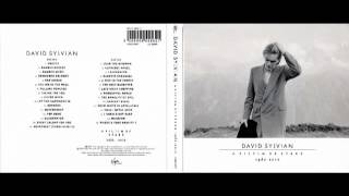 David Sylvian - A Fire in the Forest