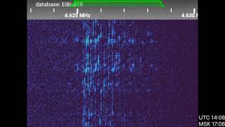 UVB-76 pirate plays Tchaikovsky's "Swan Lake" on day 18.11.2025