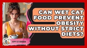 Can Wet Cat Food Prevent Obesity Without Strict Diets? - Happy Cat Handbook