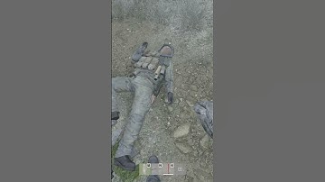 Sometimes 2 bullets and a Mosin is all you need... #DayZ #survival namalsk