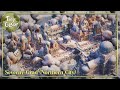 🕍 Severny-Grad (Northern City) | TINY GLADE (Full Game) | Speed Build