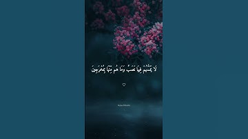 إِنَّ الْمُتَّقِينَ فِي جَنَّاتٍ وَعُيُونٍ....♡💦 القارئ إسلام صبحي