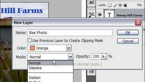 Create a New Layer in Photoshop CS3