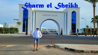 : Sharm el Sheikh  Albatros Palace