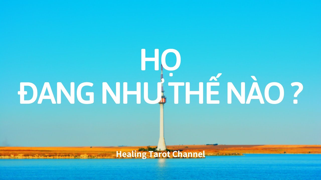 Chọn 1 tụ bài - Họ đang như thế nào ? Họ cảm thấy gì ?