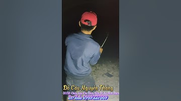 Câu cá xuyên đêm Hồ Câu Ngũ Phúc, gặp toàn chim bà bà,, cá mè kéo xệ nách