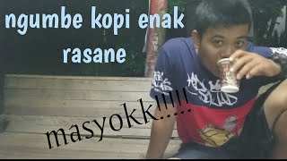 Download Lagu Download Lagu Parian Ayam MP3 Download Lagu Parian Ayam