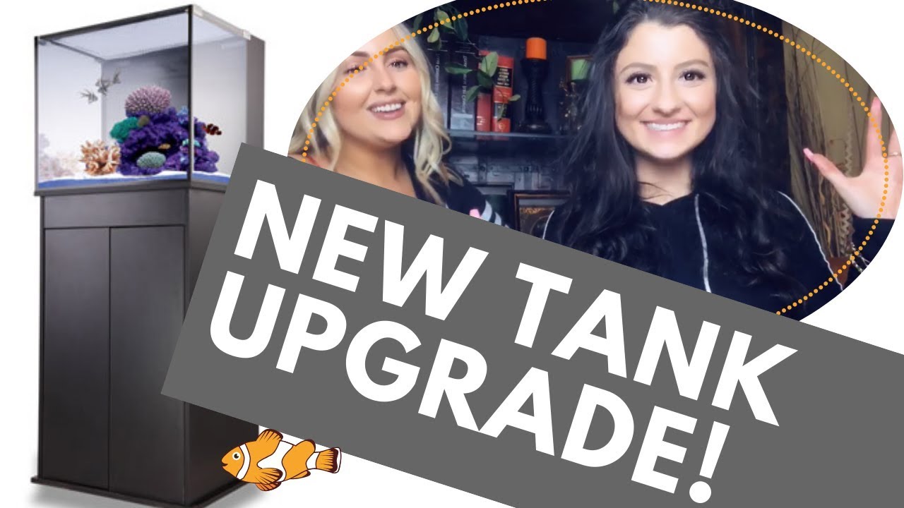 40 nuvo fusion mini aio aquarium