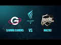 Gamma Gaming vs Macko // Rainbow Six European  Challenger League 2020 - Group phase - Playday #5