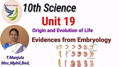 10th - Science- Unit 19- Origin and Evolution of Life - Evidences from Embryology- Effective biology