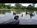 Simple Duck Decoy Spreads for Ponds!
