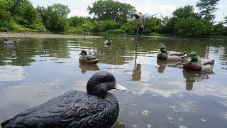 Simple Duck Decoy Spreads for Ponds!