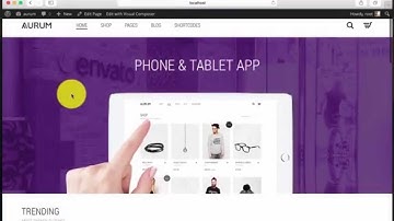 Aurum - Theme Installation and Demo Data Import