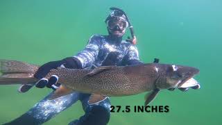 Spearfishing Gem Lakes and Whiteswan Lake in Saskatchewan, Canada