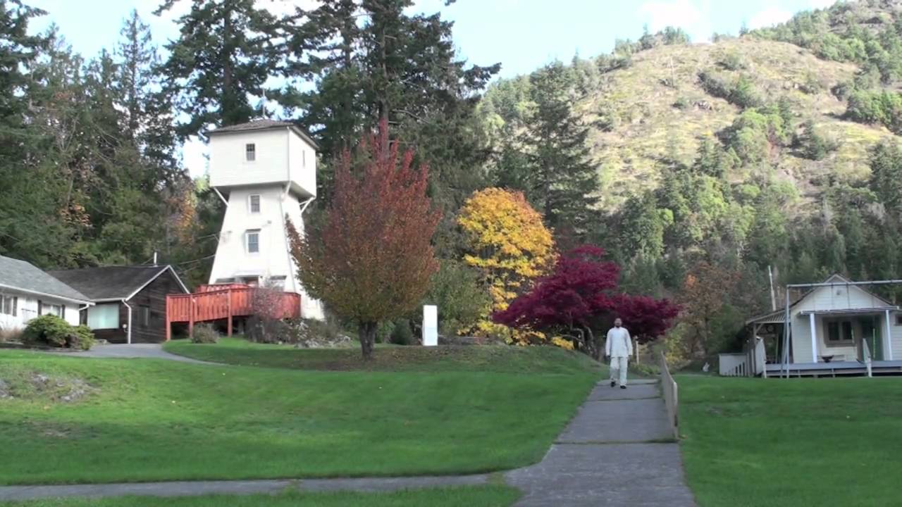 Basic Foundations by Chen Zhonghua (Trailer)