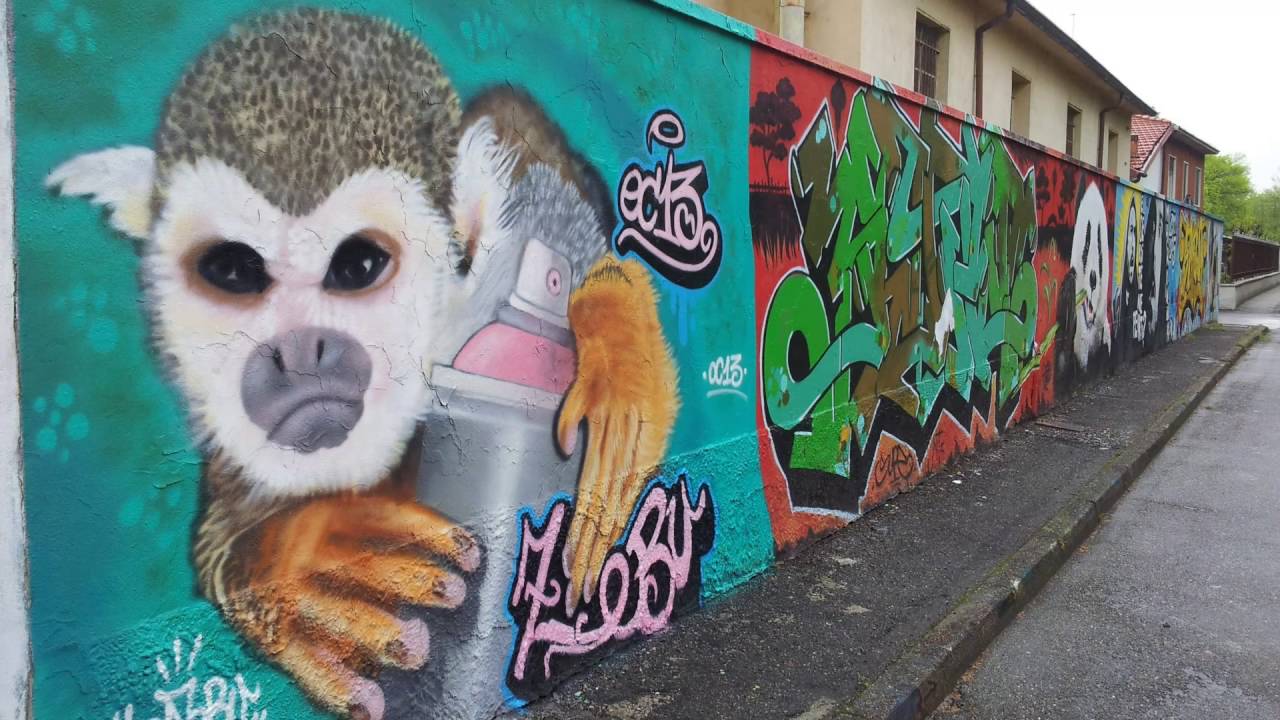 VIA FRANCIGENA 13, Pavia - Belgioioso