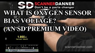 What is Oxygen Sensor Bias Voltage? (an SD Premium video)