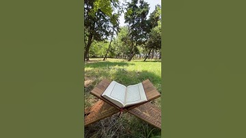 أكتب شيء تؤجر عليه #quran #اكسبلور #المصحف #قرآن #راحة_نفسية #قران_كريم #أحمد_خضر #سورة_طه
