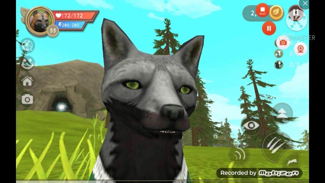 The love of a fox wildcraft story YouTube