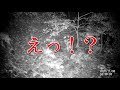 【鶏舎を守れ！】もう居ないだろうと思ったのに。