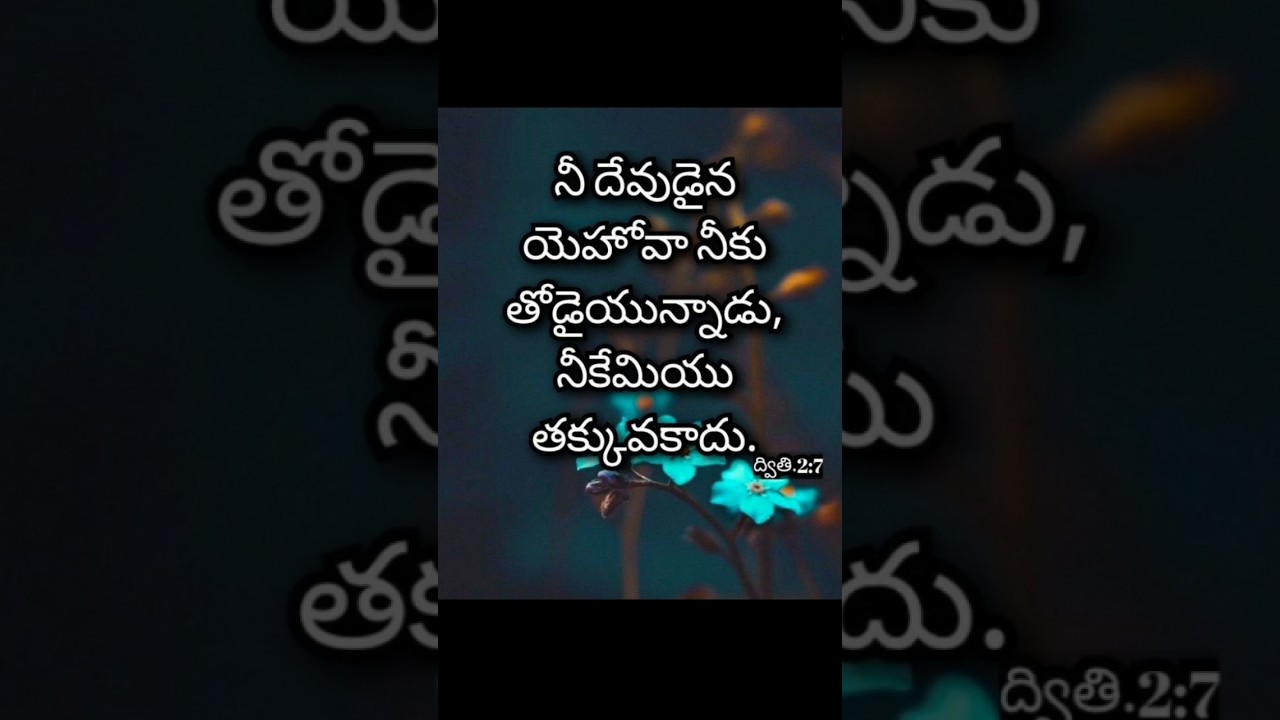 ద్వితి 2:7 || నీ దేవుడైన యోహోవా నీకు తోధైయున్నదు || Jesus Quotes In Telugu || Praise The Lord Amen