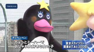 東京スカイツリー　開業まであと300日