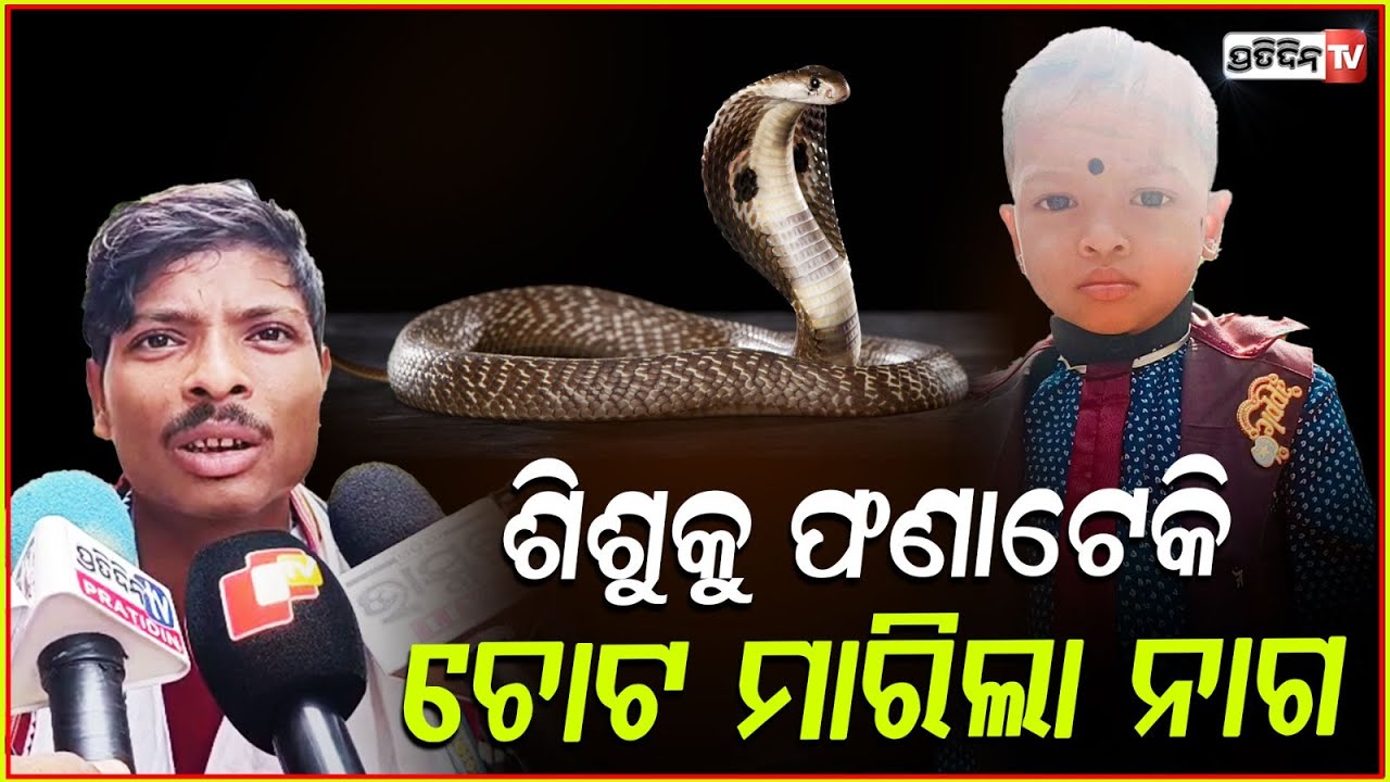 ନାଗ ନେଇଗଲା ଜୀବନ, ଶ୍ୱଶୁର ଘରେ ସାପ ଆସି ପଛପଟୁ ମାରିଲା ଚୋଟ! Snake Bite death, Bhadrak.