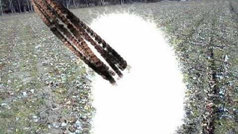 Particle Illusion 3.0 Demonstration