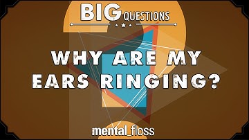 Why are my ears ringing? - Big Questions - (Ep. 19) | Mental Floss