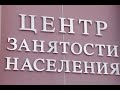 Центр занятости пособие по безработице штрафы и не официальная работа в России