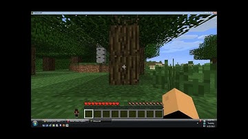 Shapeshifter mod tutorial 1.5.2 with HeroCraftKid