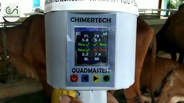 Quadmastest Video  - Demonstration