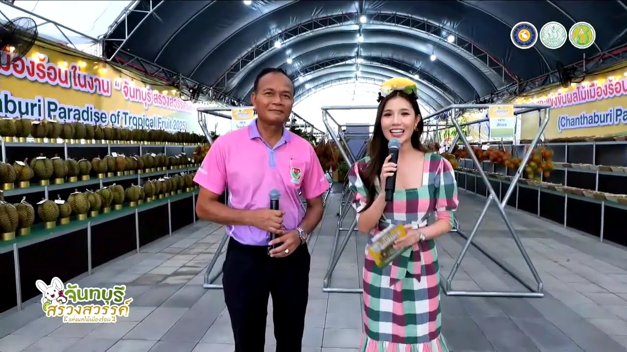 กิจกรรมการประกวดผลไม้ งาน จันทบุรี สรวงสวรรค์แห่งผลไม้เมืองร้อน 2025 | CHANTODAY