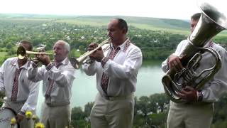 Весільні музики Аколада Весільні музики Аколада