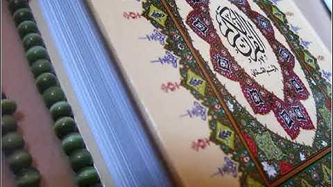 سورة الحاقة بصوت الشيخ وليد مرعي الشهري