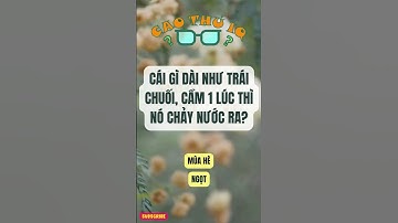 Câu Đố Vui Nhộn 2: Thử Thách Tư Duy Logic Của Bạn p53 | Cao Thủ IQ #funny #dovui #giaitri #haihuoc