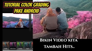 Tutorial Background Color grading || 3D lut