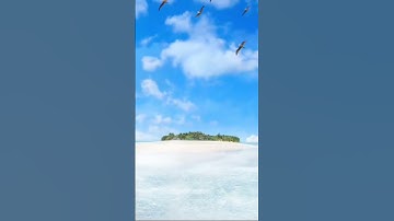 من روائع التلاوة(قال اني ليحزنني ان تذهبوا به واخاف ان ياكله الذئب) #قرآن_كريم_راحة#اكسبلور#explore