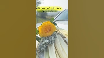 حالات واتس اب يوم الجمعه 💛🍃 مقاطع قران انستقرام //ستوريات //آيات قرانيه //بدون حقوق