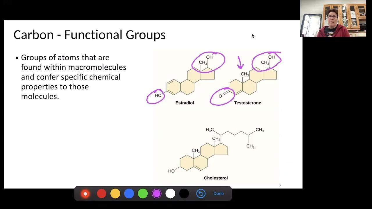 Bio123 Ch3 1 and 3 2 2022 - YouTube