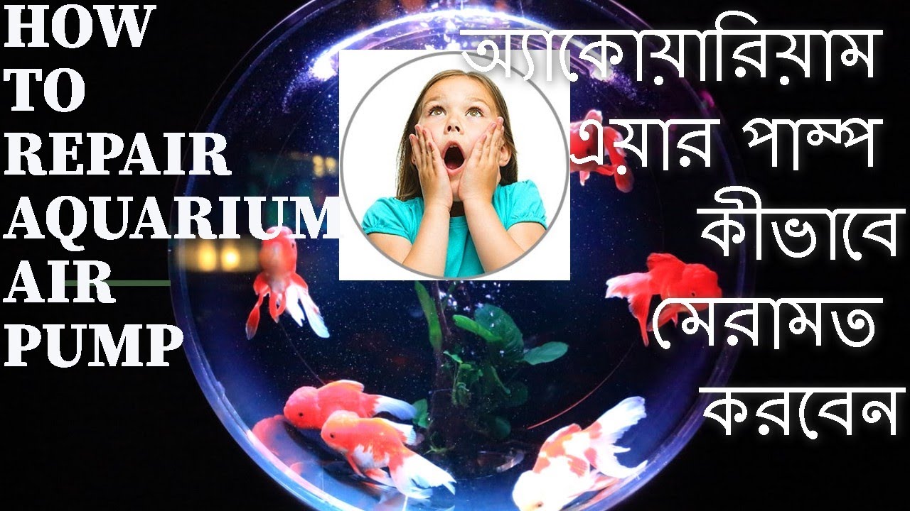 How to Repair Aquarium Air Pump At Home. YouTube
