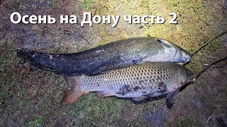 видео: Осень на Дону часть 2 подводная охота 2024 ночная охота 2024 подводная охота ростовская область 2024 картинка: Осень на Дону часть 2 подводная охота 2024 ночная охота 2024 подводная охота ростовская область 2024