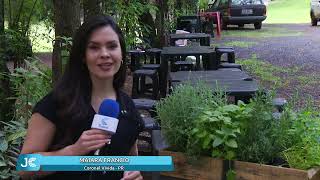 Seminário sobre plantas medicinais, aromáticas e...