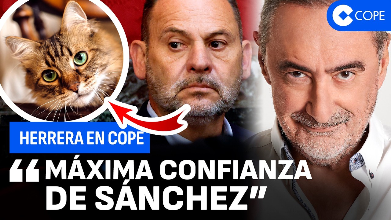 Herrera y el surrealista detalle del gato en el juicio a Ábalos, Koldo y Aldama