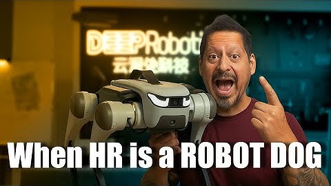 When Your HR Is a Robot Dog?! | DeepRobotics Lite 3 Review