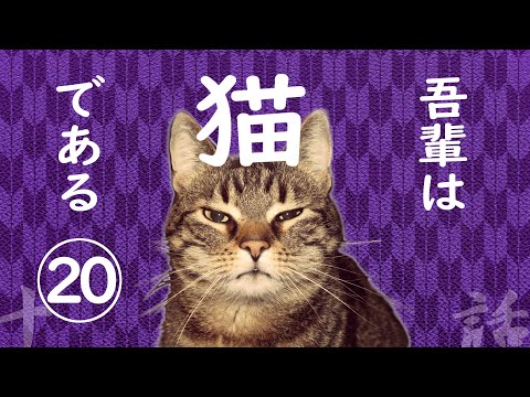 吾輩は猫である () | 夏目 漱石 |本 | 通販 | Amazon