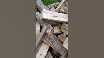 Thumbnail of Aubrey plaza woodmilk Metalicastalica video Wilbur #metalicastalica