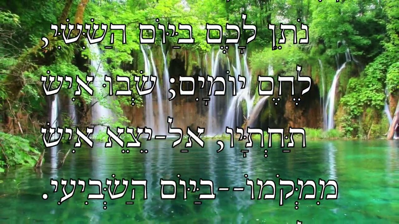 To morrow is a solemn rest