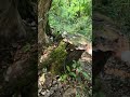 ヒカル社長ハイキングの楽しみ方‼️