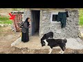 Kicked Out by Her Son and Daughter-in-Law | A Mother’s Fight to Save Her Home Deed